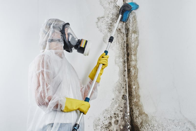 Mold Prevention Techniques
